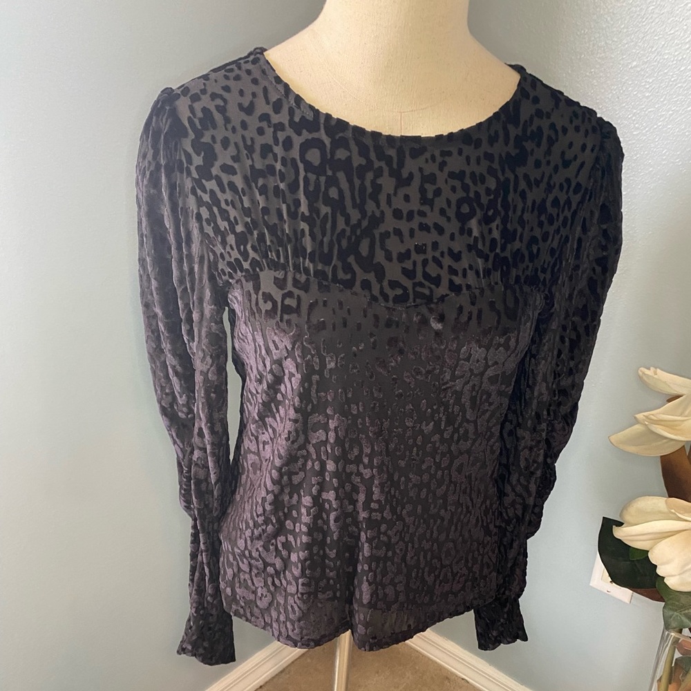 NWT Eclair Leopard Print/Velvet Blouse